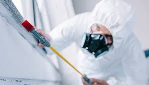 Pest Control for Hotels in Bangor Base, WA